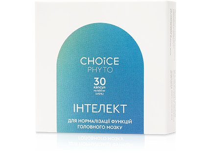 Інтелект