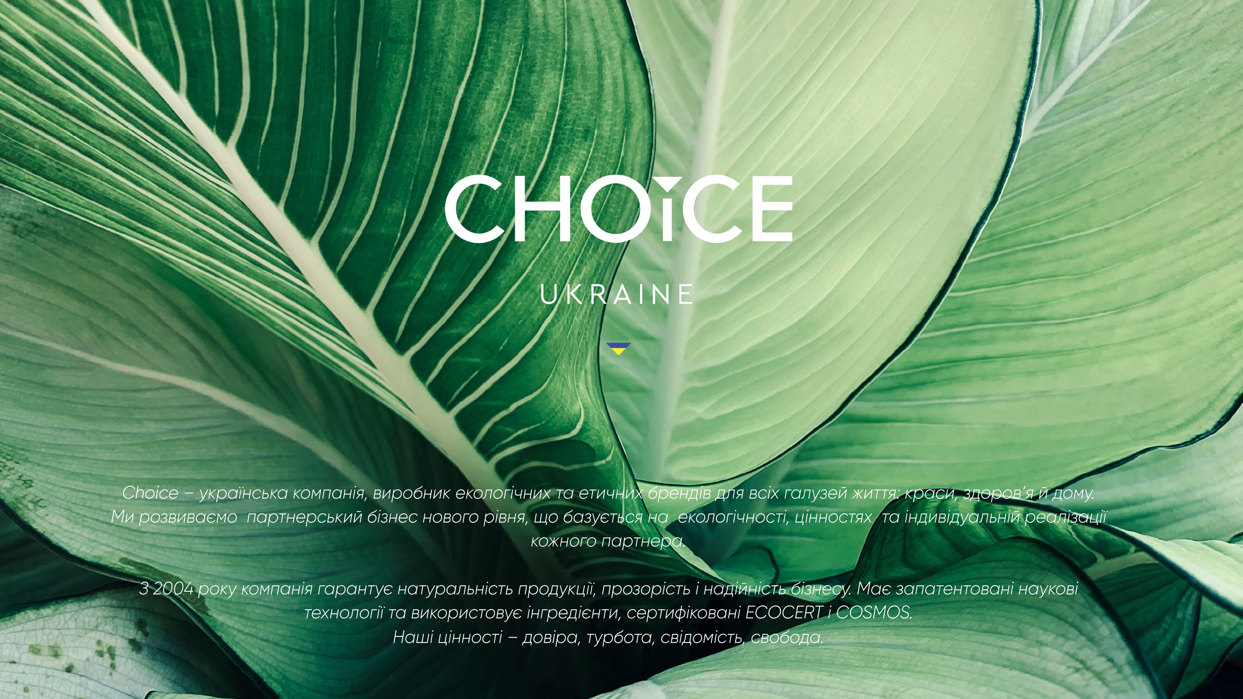 Що таке CHOICE?